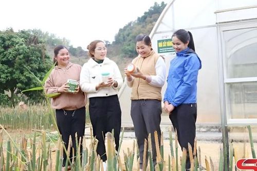 Dân vận khéo gắn với lợi ích của nhân dân