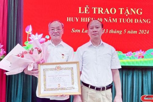 Trao tặng Huy hiệu Đảng cho đảng viên