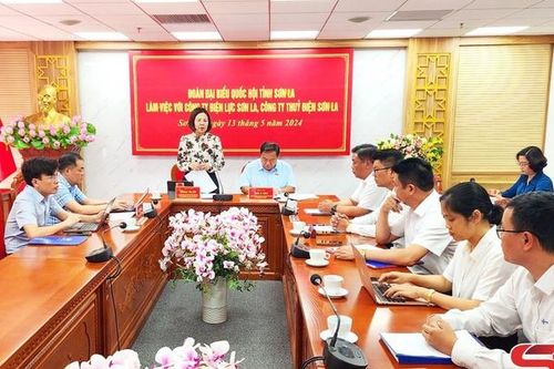 Đoàn đại biểu Quốc hội tỉnh làm việc với Công ty Điện lực Sơn La và Công ty Thủy điện Sơn La