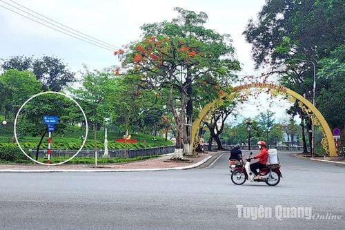 Tiếp thu phản ánh của Báo Tuyên Quang về biển báo tên đường bong tróc gây mất mỹ quan đô thị
