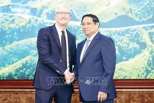 Đông Nam Á nổi lên như một trung tâm hấp dẫn của ngành công nghệ