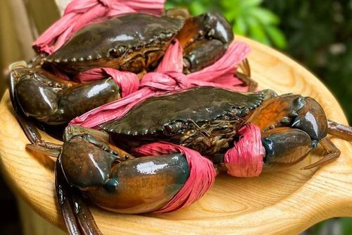 Xuất khẩu cua ghẹ ghi nhận tăng trưởng đột biến tại thị trường Trung Quốc & Hồng Kông