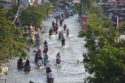 Từ tháng 6 đến tháng 8/2024, khu vực Tây Nam Bộ có 7 đợt triều cường