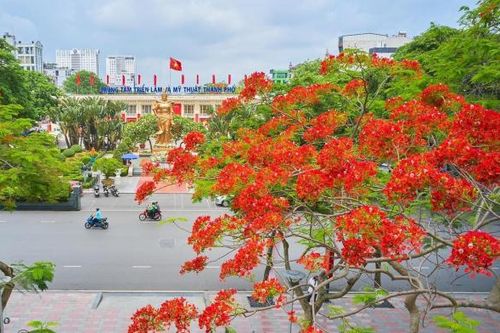 Thành phố cảng tháng 5 rợp trời hoa