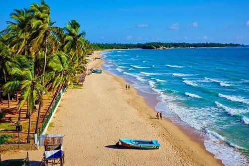 Sri Lanka thu hút du khách trải nghiệm vẻ đẹp 'mùa Xanh'