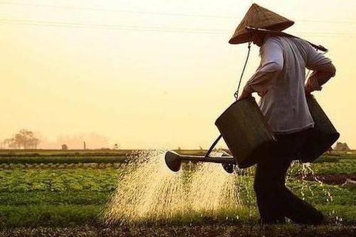 Đề thi Ngữ văn: Ý nghĩa của lao động chân chính