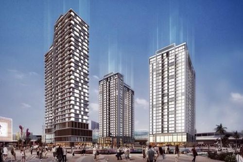 ĐHĐCĐ 2024 API: Mục tiêu doanh thu 354 tỷ đồng, không chia cổ tức