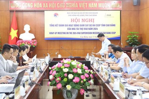 Tổng kết hoạt động giám sát Dự án hỗ trợ kinh doanh cho nông hộ tỉnh năm 2024