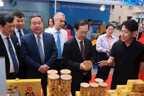 Nhiều hoạt động chào mừng Ngày Khoa học và Công nghệ Việt Nam