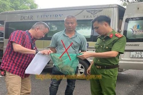 Bắt người đàn ông vận chuyển trái phép 2 cá thể Culi còn sống