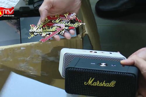 Khởi tố nữ chủ nhân lô tai nghe, loa Marshall giá trị giá 09 tỷ đồng