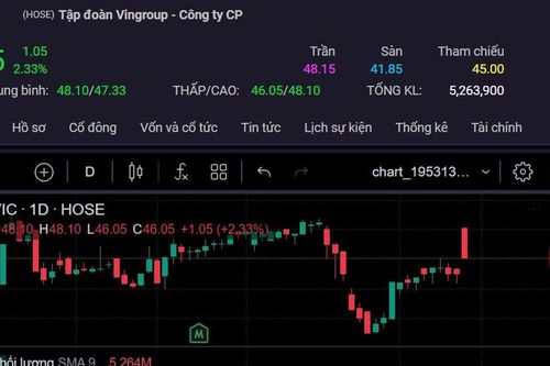 Cổ phiếu Vingroup tăng sau 'sức nóng' của mẫu xe điện VinFast VF 3