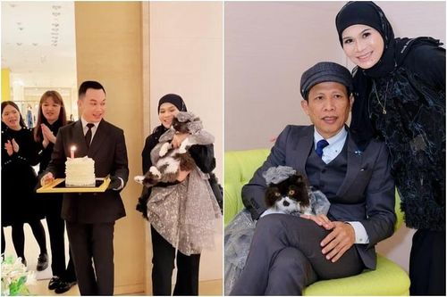 Gây bão mạng vì tổ chức sinh nhật mèo trong cửa hàng LV