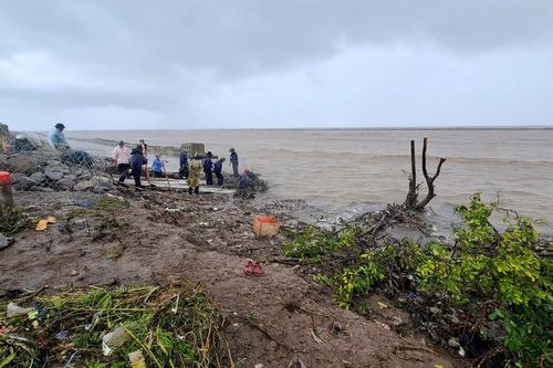 Mới vào mùa mưa, Cà Mau lại đối diện nguy cơ sạt lở