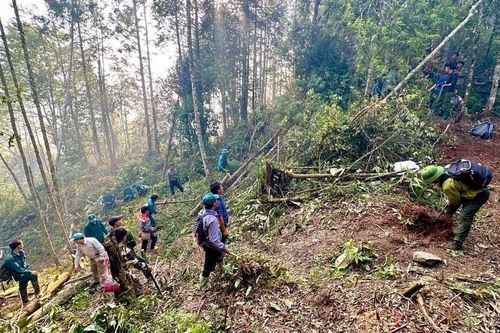 Đề nghị truy tặng Huân chương Dũng cảm cho 2 kiểm lâm hy sinh