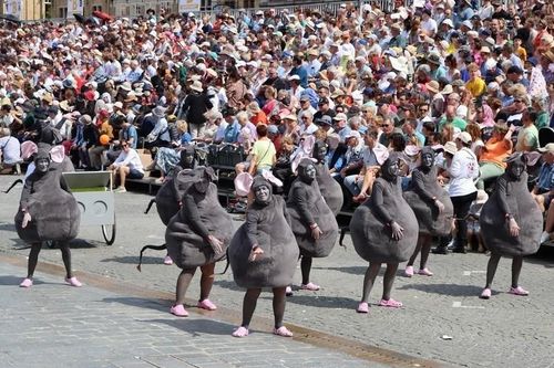 Bỉ: Được tổ chức trở lại sau 6 năm gián đoạn, lễ hội mèo đặc sắc thu hút du khách