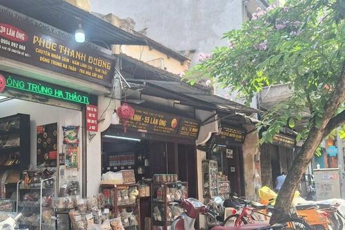 Vinh danh 'Y thánh Việt Nam' giữa lòng Hà Nội