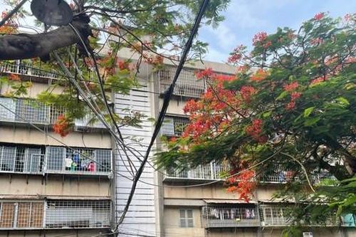 Cư dân lo mất chỗ ở vì 120 căn hộ bị thu hồi