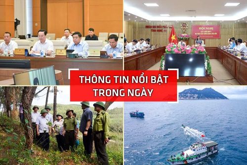 Nghệ An: Thông tin nổi bật ngày 14/5