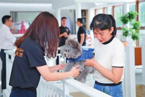 Trung Quốc khai trương phòng chờ máy bay đầu tiên dành cho thú cưng