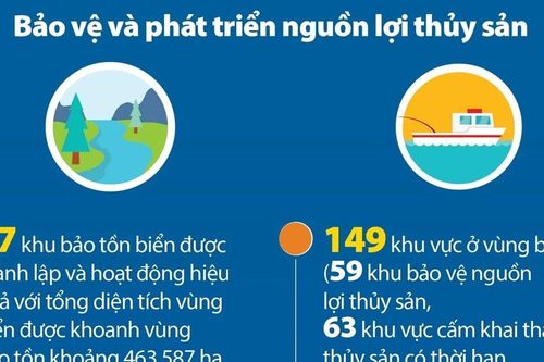 Đưa Việt Nam trở thành quốc gia có nghề cá phát triển bền vững vào năm 2050