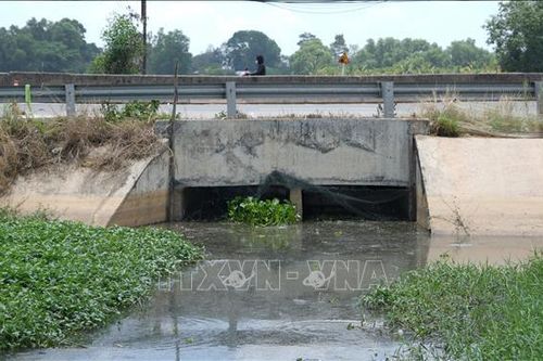 Truy tìm nguồn thải biến nước sông Vàm Cỏ Đông thành màu đen, bốc mùi hôi bất thường