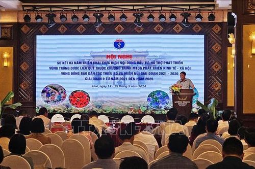 Tăng diện tích trồng dược liệu quý tại vùng đồng bào dân tộc thiểu số và miền núi
