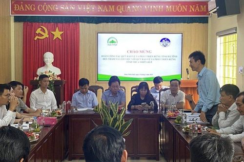 Nhận tiền tỷ bằng việc 'bán không khí' từ rừng