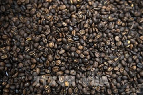 Giá các mặt hàng cà phê, dầu ô liu và ca cao dự kiến tăng mạnh