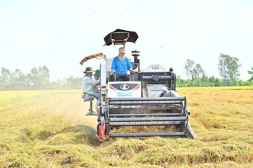 Thực thi pháp luật để giảm thiểu biến đổi khí hậu