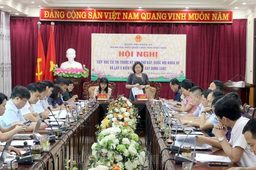 Đoàn ĐBQH tỉnh tiếp xúc cử tri và lấy ý kiến tham gia xây dựng luật