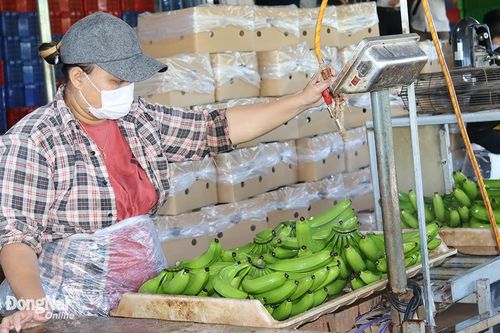 Tăng trưởng nông nghiệp khởi đầu tích cực cho mục tiêu cả năm