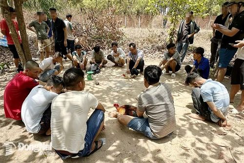 Bắt nhóm tụ tập đánh bạc trong vườn tràm