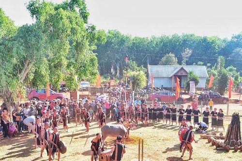 Lễ mừng chiến thắng của người Bahnar: Độc đáo, nhân văn