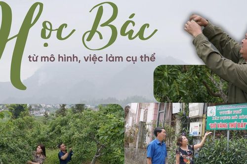 Học và làm theo Bác từ mô hình, việc làm cụ thể