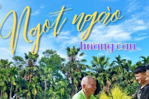 Ngọt ngào hương cau