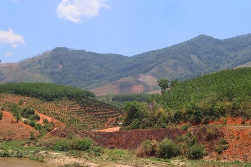 Công ty cổ phần Thượng Long bị xử phạt hành chính về vi phạm lĩnh vực đất đai