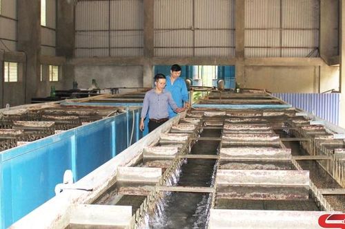 Nhiều hoạt động hưởng ứng Tuần lễ quốc gia nước sạch và vệ sinh môi trường