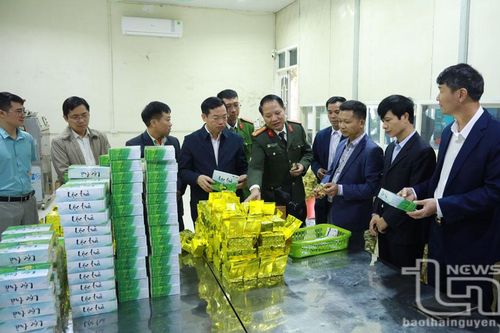 Liên kết để phát triển nông nghiệp hiệu quả, bền vững