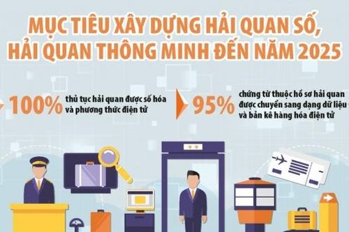 Thành lập Ban triển khai dự án xây dựng hệ thống công nghệ thông tin thực hiện Hải quan số