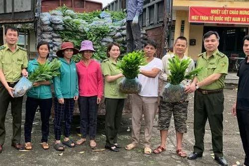 Tuyên Quang: Huyện Chiêm Hóa hỗ trợ dân trồng, bảo vệ, phát trển rừng