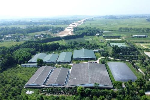 Mặt bằng trại lợn ở Hà Tĩnh trên cao tốc Bắc – Nam đã được giải quyết, bàn giao
