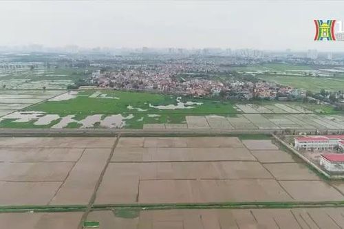Giá đất ở Hà Nội chỉ 20 triệu đồng/m2