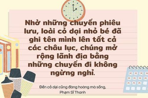 Đề khảo sát Ngữ văn: 'Đến cỏ dại cũng đàng hoàng mà sống'
