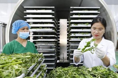 Ngành Nông nghiệp Hà Nội:Tìm cách đưa nông sản vươn xa