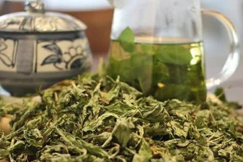 Người có sức khỏe bình thường uống nước lá sen thế nào có lợi?