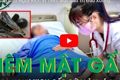 Cấp cứu nguy kịch vì tiêm mật gấu trị đau xương khớp