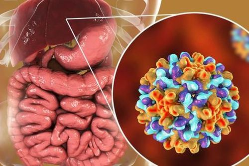 WHO cảnh báo về bệnh viêm gan siêu vi trên toàn cầu