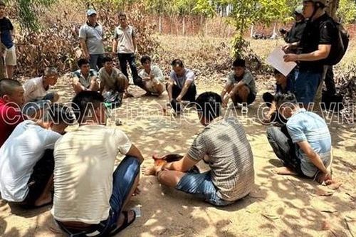 Bắt quả tang 11 đối tượng tham gia đá gà ăn tiền