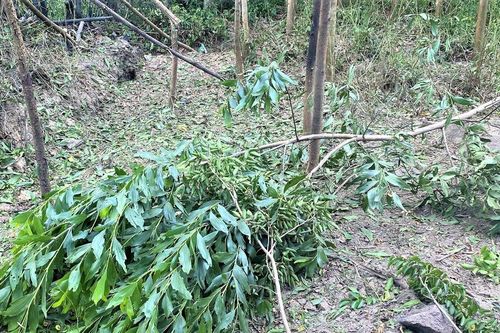 Quảng Nam: Phát hiện một người đàn ông tử vong sau tiếng nổ lớn